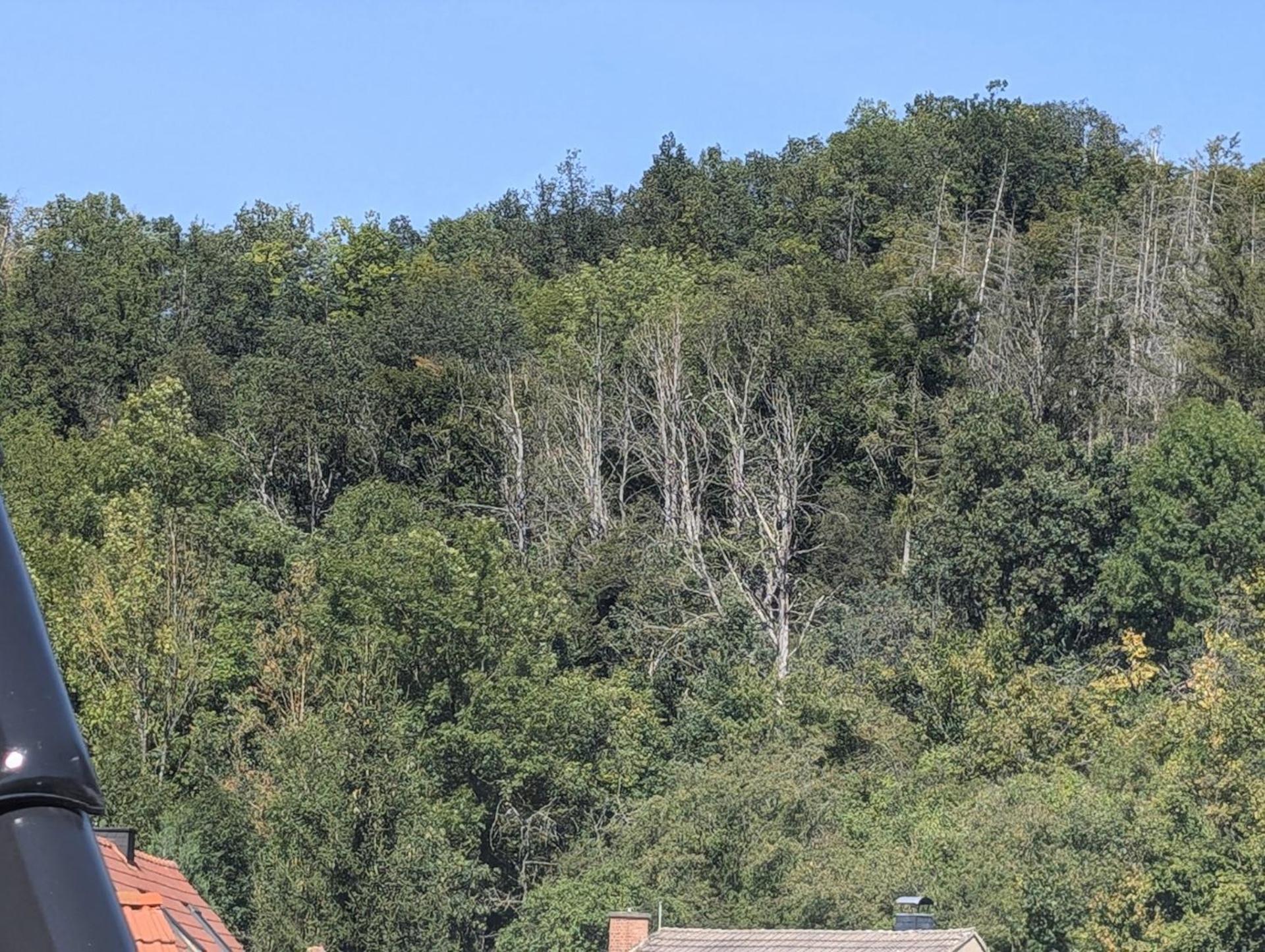 Ferienwohnung Mit Ausblick In Wimmelburg Exterior foto